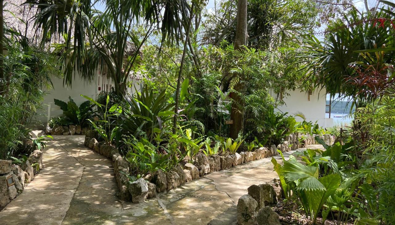 Maya Internacional Flores Exterior foto