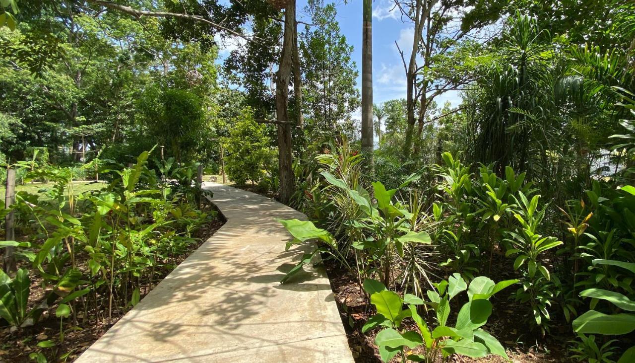 Maya Internacional Flores Exterior foto